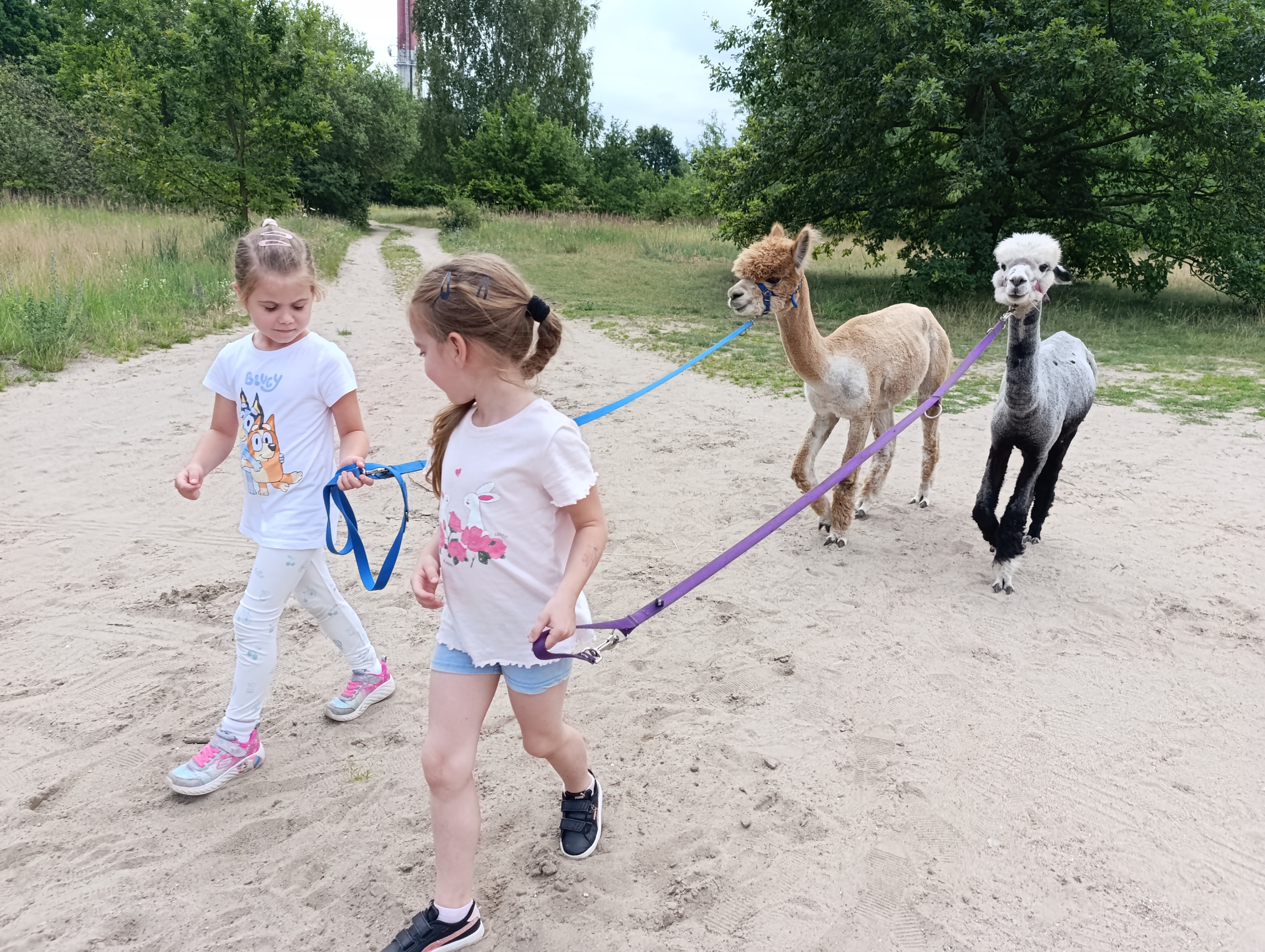 polkolonie_zimowe_szczecin (2)